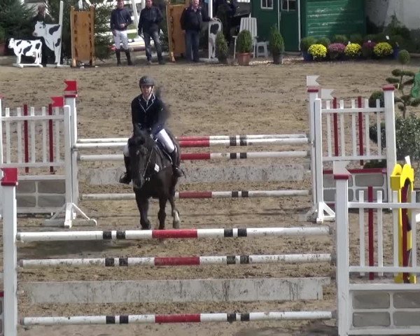 Reitturnier Aachen - Gut Weyern 2015