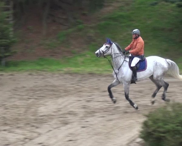 Reitturnier Aachen - Gut Weyern 2015