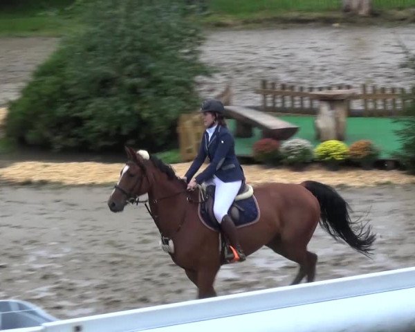Reitturnier Aachen - Gut Weyern 2015