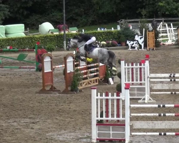 Reitturnier Aachen - Gut Weyern 2015