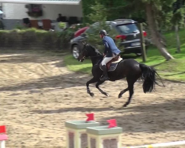 Reitturnier Aachen - Gut Weyern 2015