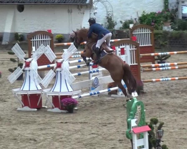 Reitturnier Aachen - Gut Weyern 2015