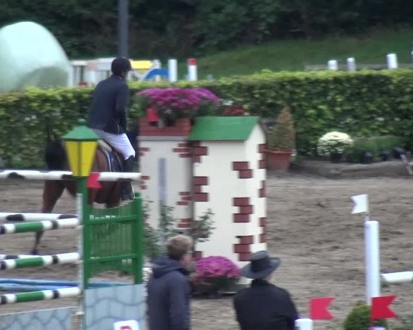 Reitturnier Aachen - Gut Weyern 2015