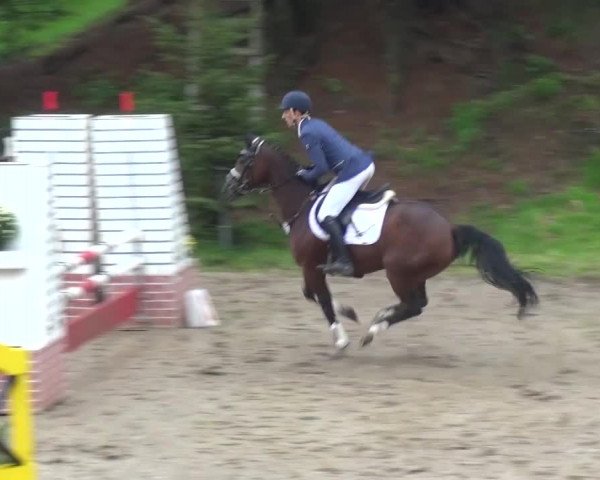 Reitturnier Aachen - Gut Weyern 2015
