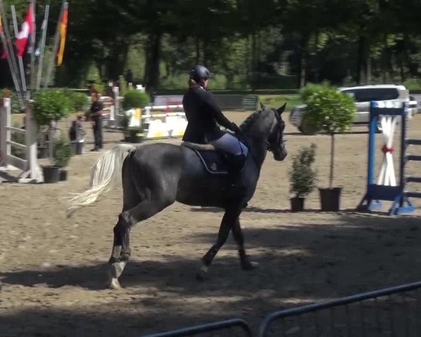 Wickrather Reitertage 2015