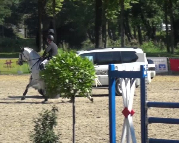 Wickrather Reitertage 2015