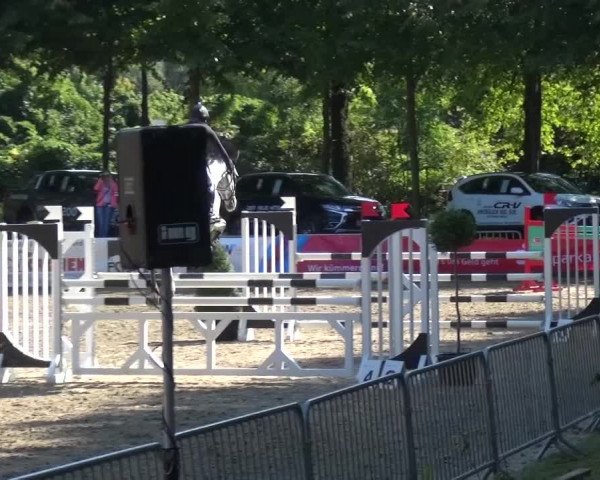 Wickrather Reitertage 2015