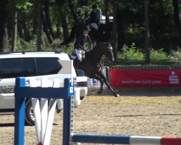 Wickrather Reitertage 2015