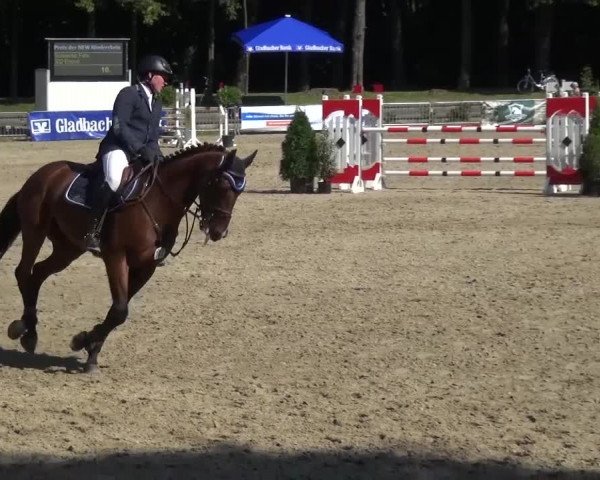 Wickrather Reitertage 2015