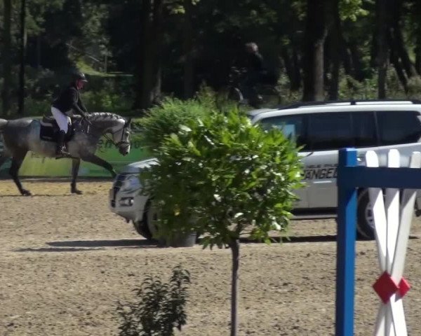 Wickrather Reitertage 2015