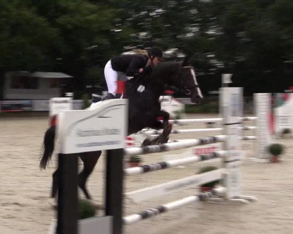 Springturnier Meinerzhagen 2015