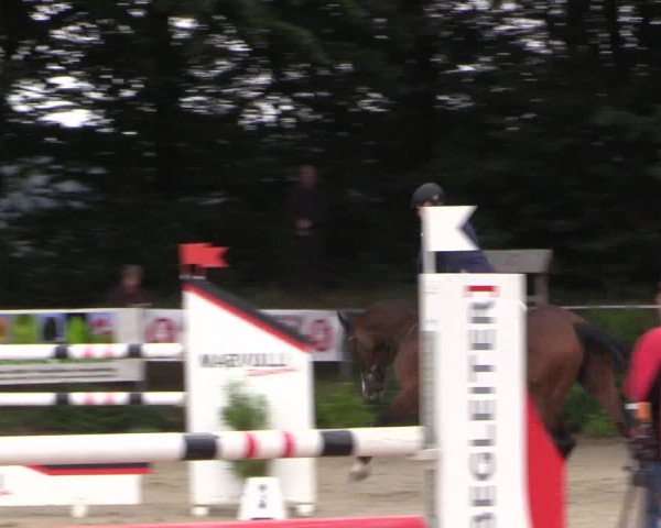 Springturnier Meinerzhagen 2015