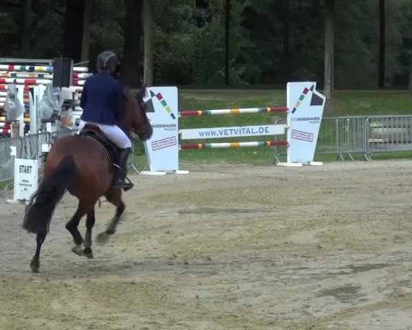 Wickrather Reitertage 2015