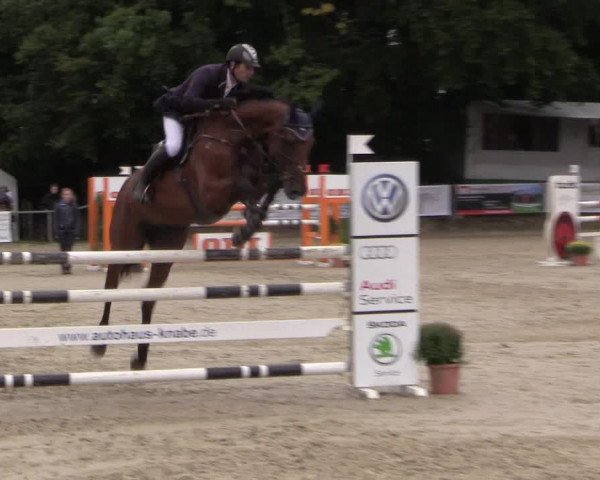 Springturnier Meinerzhagen 2015