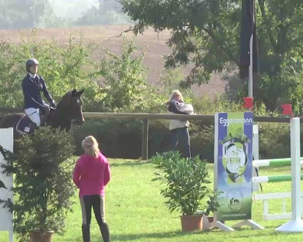 Reitturnier Leonberg 2015