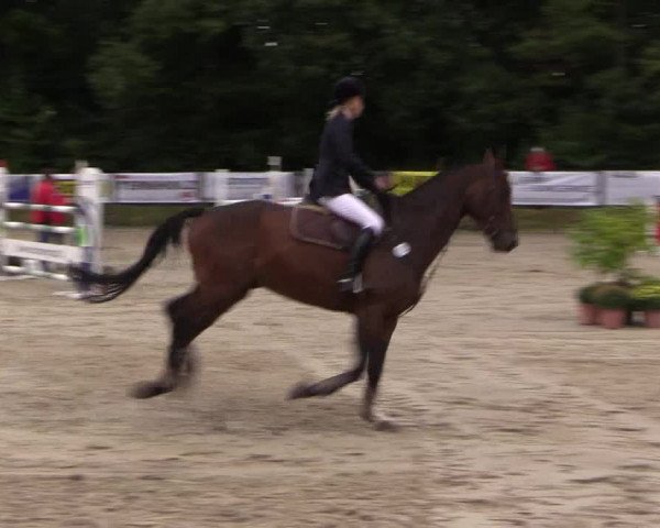 Springturnier Meinerzhagen 2015