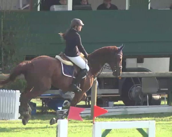 Reitturnier Leonberg 2015