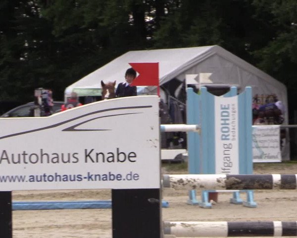 Springturnier Meinerzhagen 2015