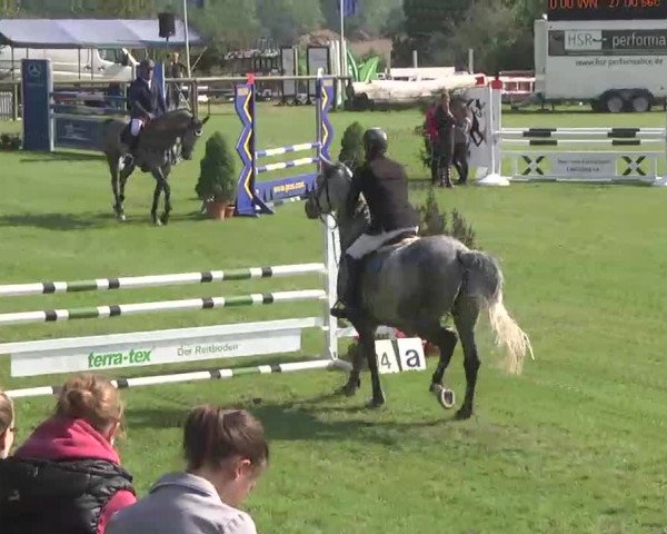Reitturnier Leonberg 2015