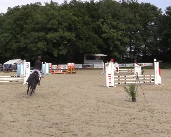 Springturnier Meinerzhagen 2015
