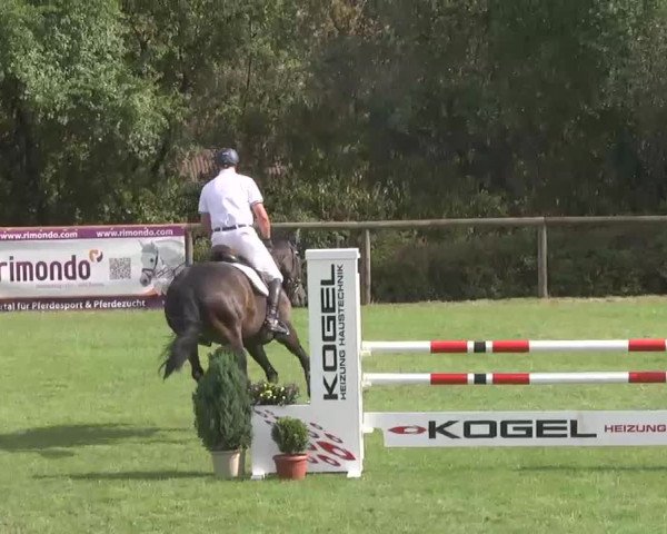 Reitturnier Leonberg 2015
