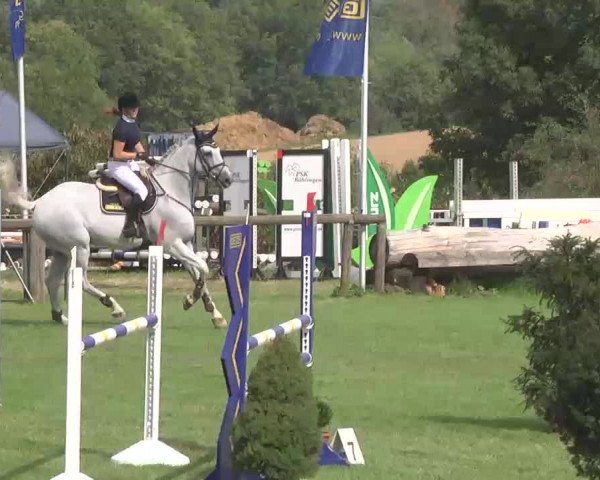 Reitturnier Leonberg 2015
