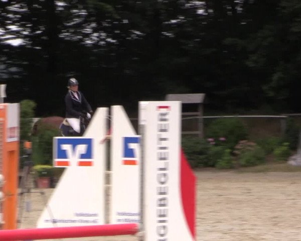 Springturnier Meinerzhagen 2015