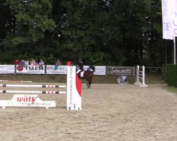 Springturnier Meinerzhagen 2015