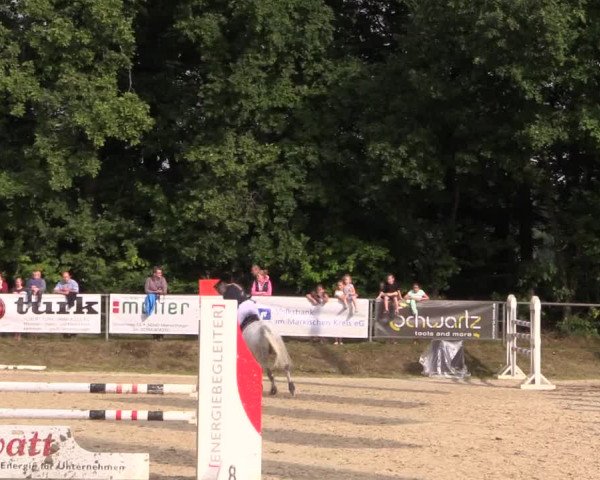 Springturnier Meinerzhagen 2015