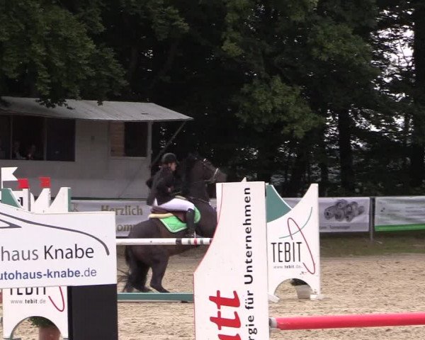 Springturnier Meinerzhagen 2015
