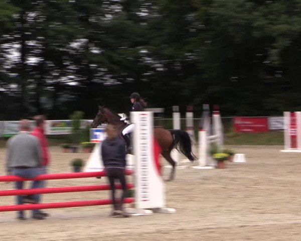 Springturnier Meinerzhagen 2015