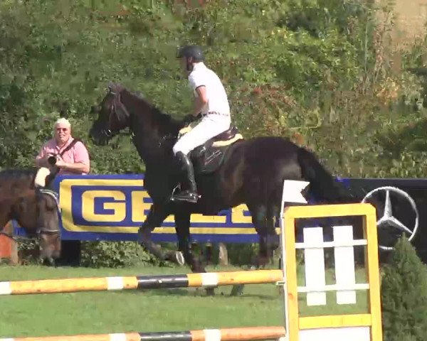 Reitturnier Leonberg 2015