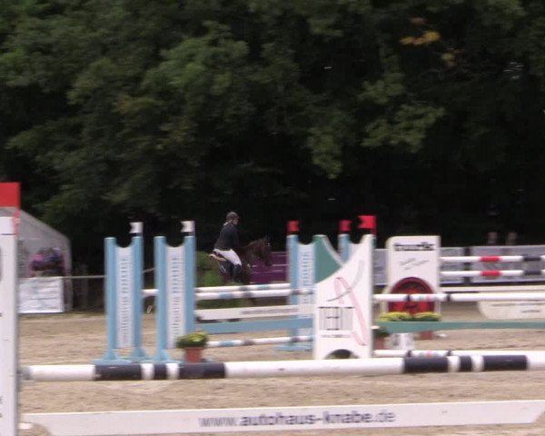 Springturnier Meinerzhagen 2015