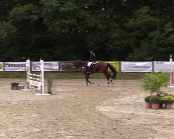 Springturnier Meinerzhagen 2015