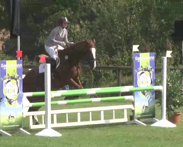 Reitturnier Leonberg 2015