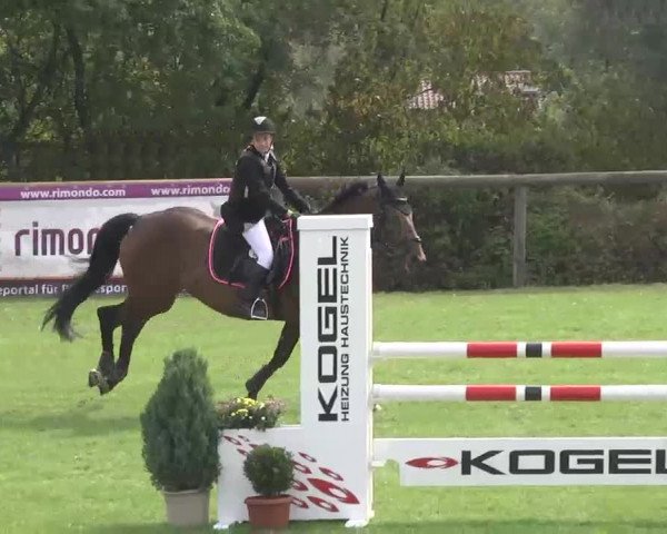 Reitturnier Leonberg 2015