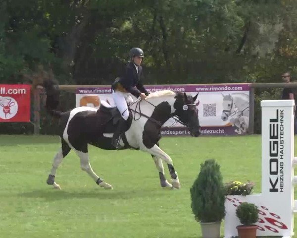 Reitturnier Leonberg 2015