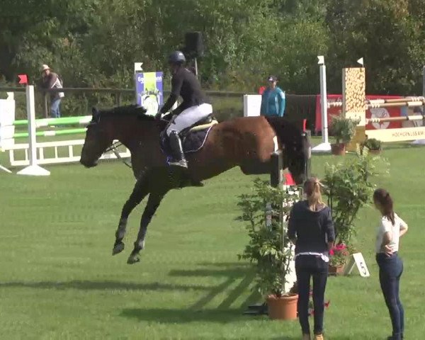 Reitturnier Leonberg 2015