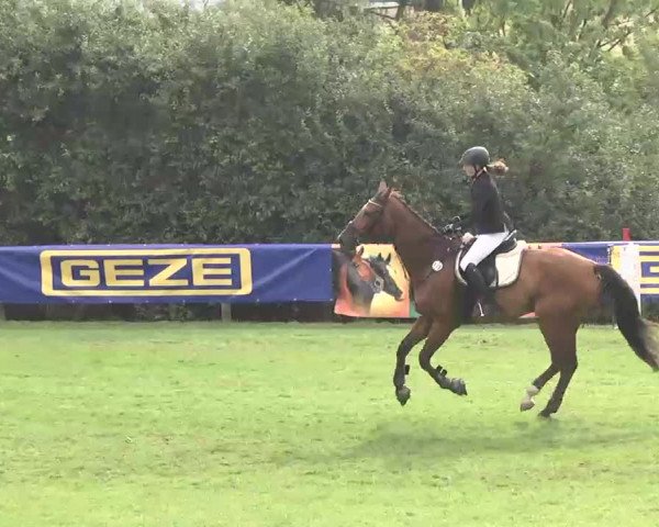 Reitturnier Leonberg 2015