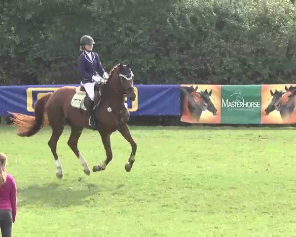 Reitturnier Leonberg 2015