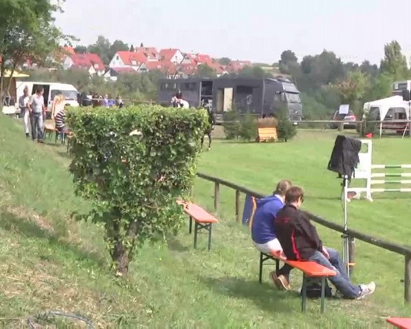 Reitturnier Leonberg 2015
