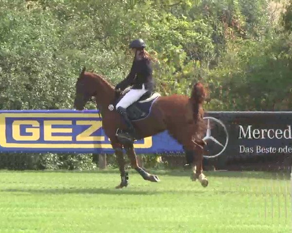 Reitturnier Leonberg 2015