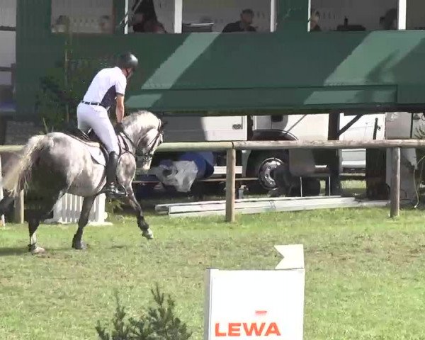 Reitturnier Leonberg 2015