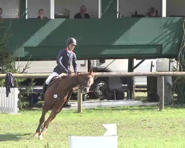 Reitturnier Leonberg 2015