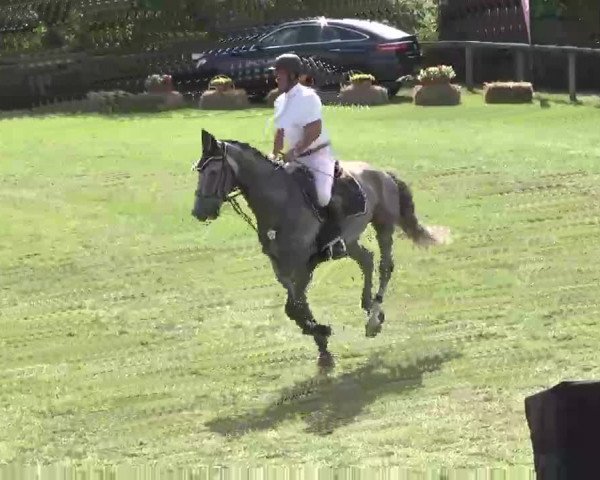 Reitturnier Leonberg 2015