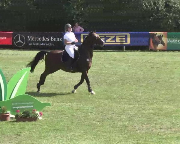 Reitturnier Leonberg 2015