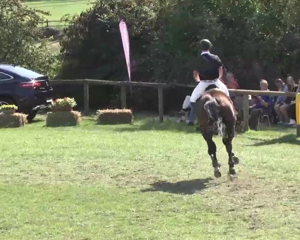 Reitturnier Leonberg 2015