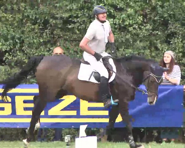 Reitturnier Leonberg 2015