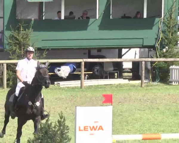 Reitturnier Leonberg 2015