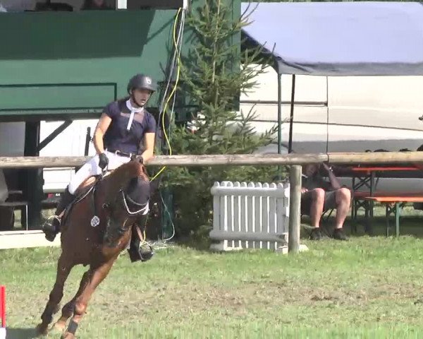 Reitturnier Leonberg 2015